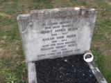 image of grave number 264331